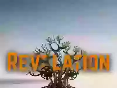 Revelation - counter cultural holiness
